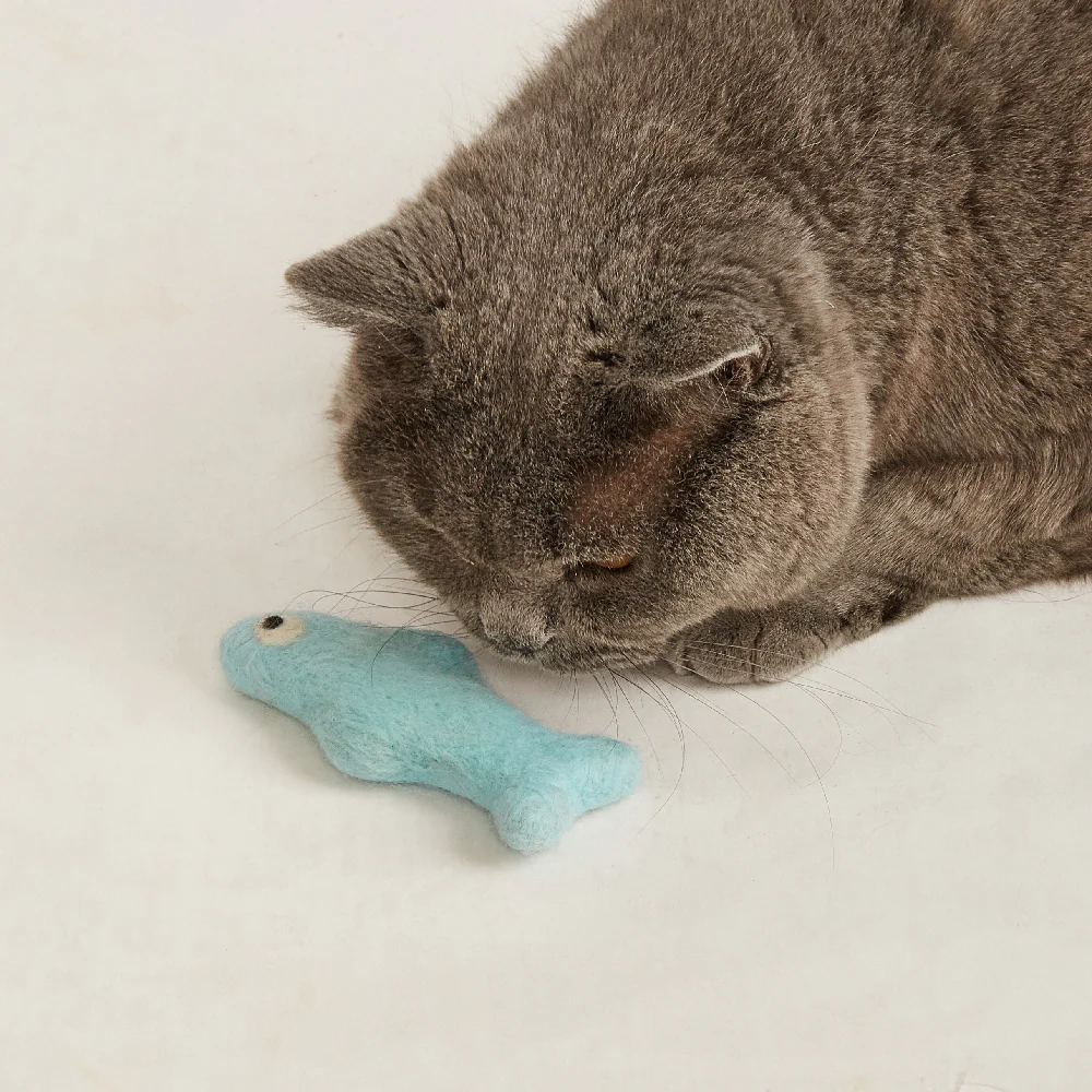 FOFOS Sardine Catnip Cat Toy - No.2 Fish 3pcs - Image 5