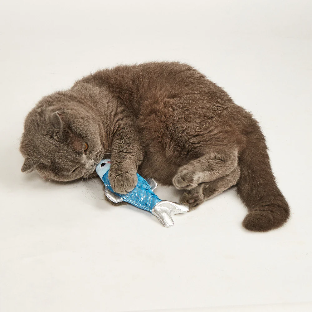 FOFOS Sardine Dancing Fish Cat Toy - USB Charging - Image 3