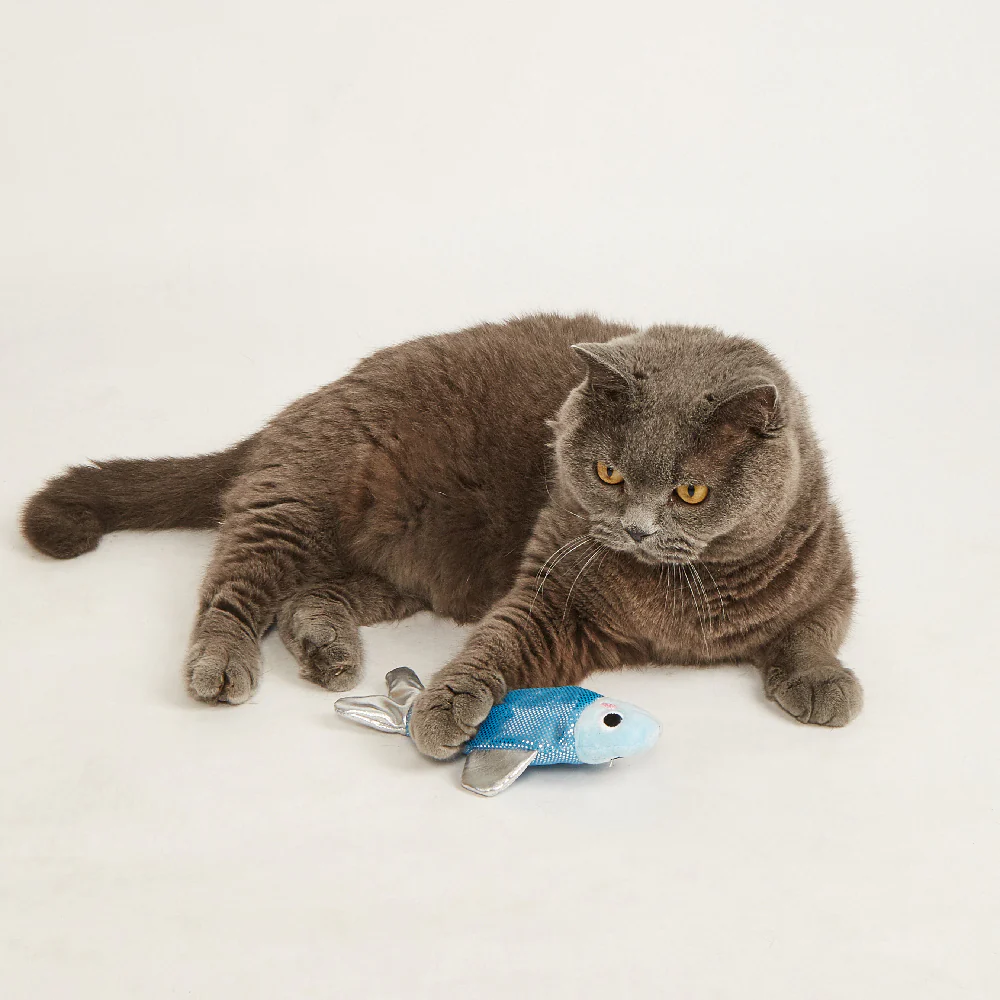 FOFOS Sardine Dancing Fish Cat Toy - USB Charging - Image 4