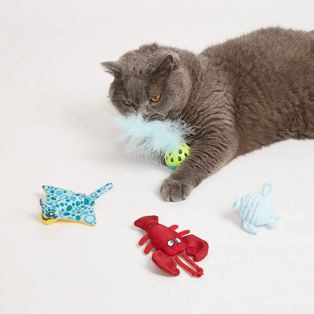 FOFOS Sealife Cat Toy - 4pcs - Image 2