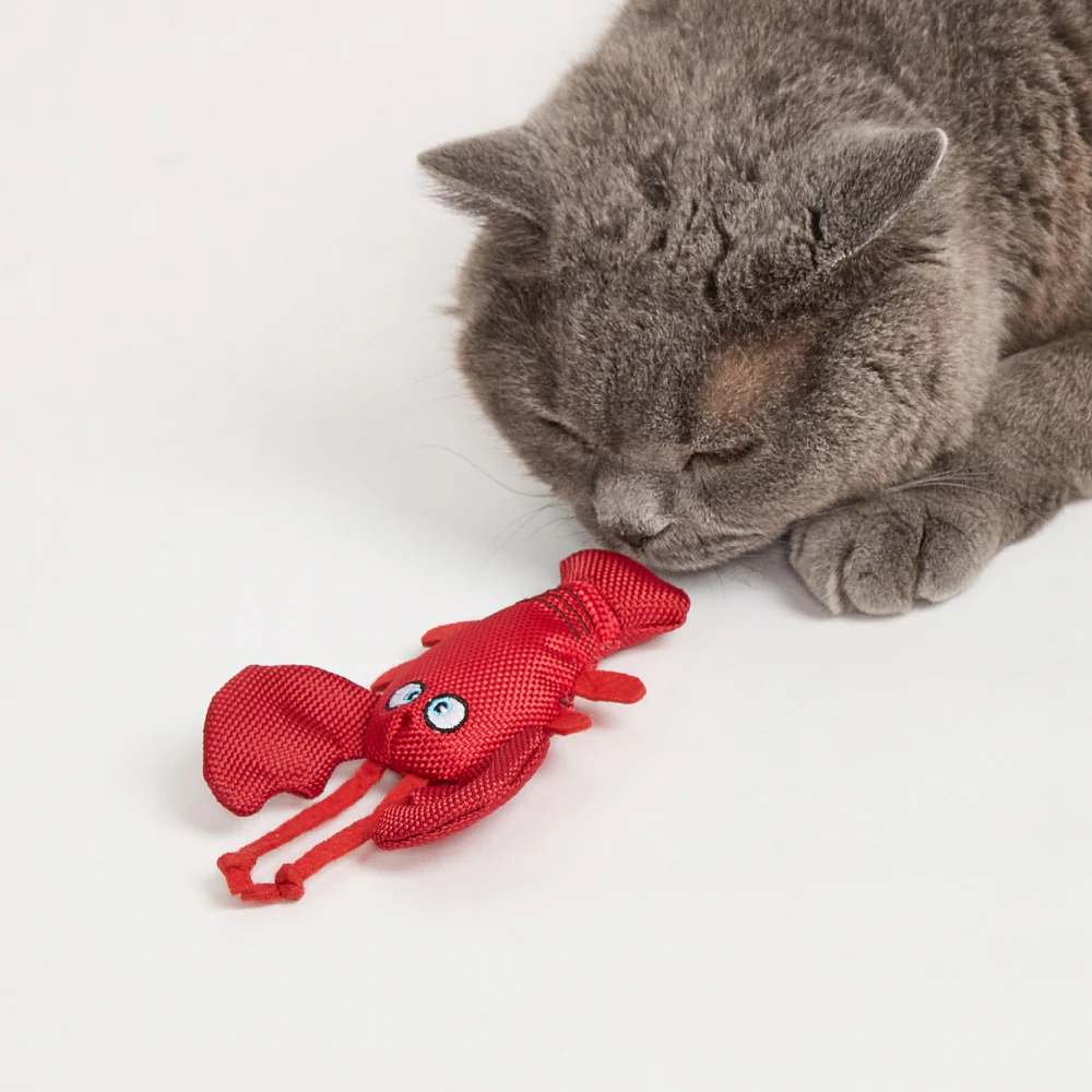 FOFOS Sealife Cat Toy - 4pcs - Image 3