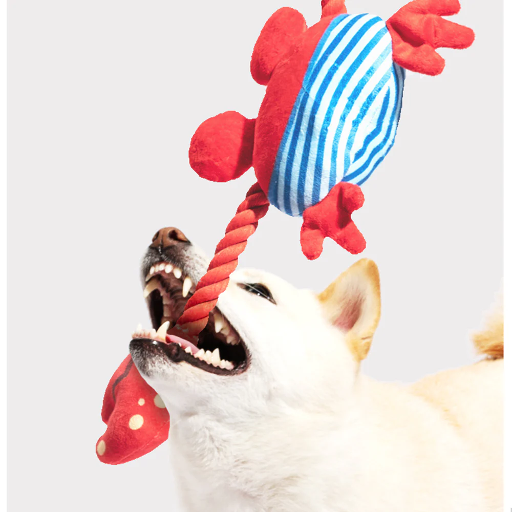 FOFOS Sealife Crab Plush Squeaky Dog Toy - Image 3