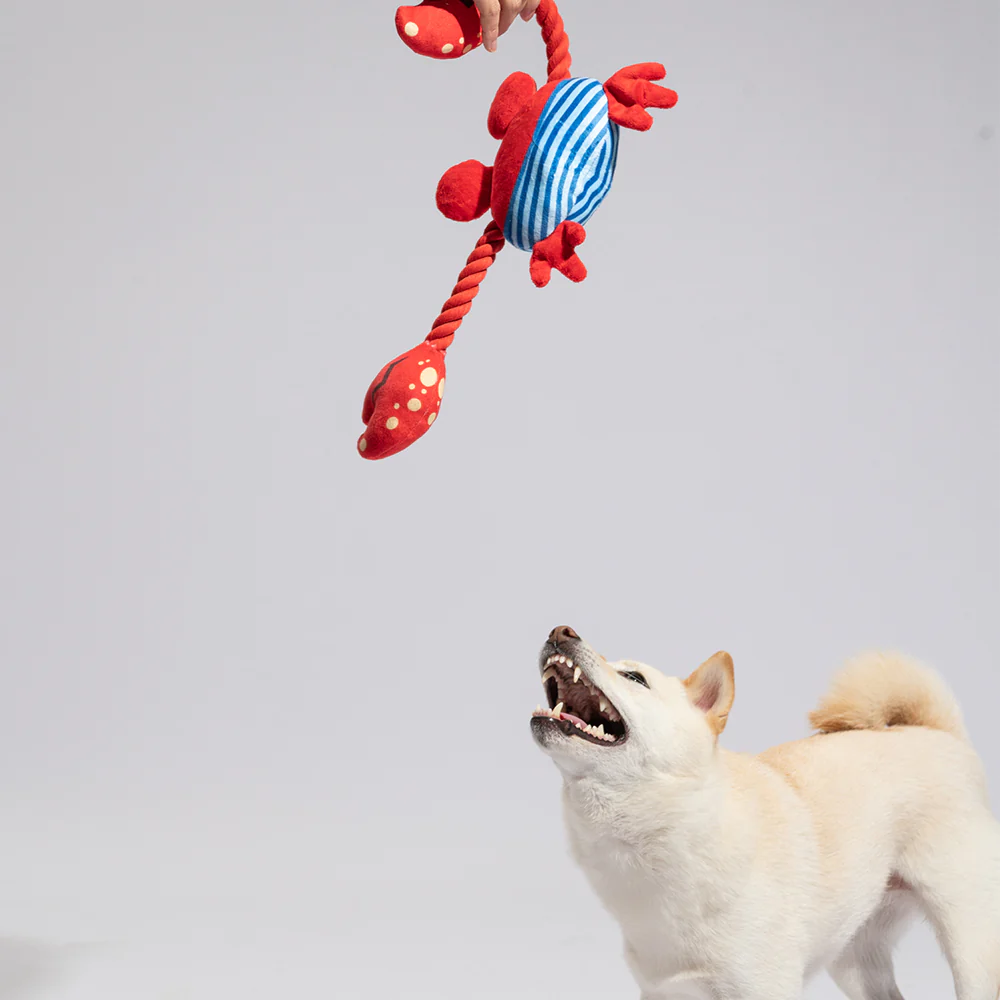 FOFOS Sealife Crab Plush Squeaky Dog Toy - Image 4