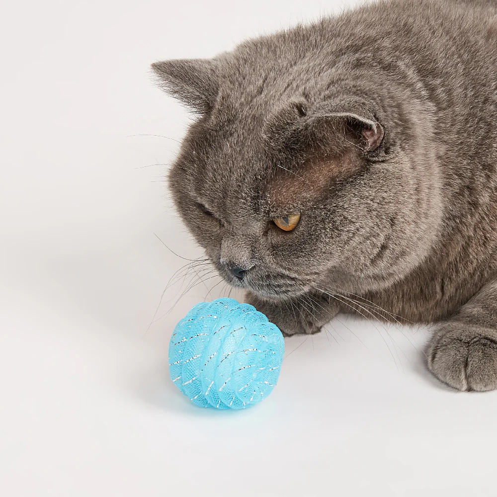 FOFOS Sealife Wand Catnip Cat Toy 4pcs - Image 4