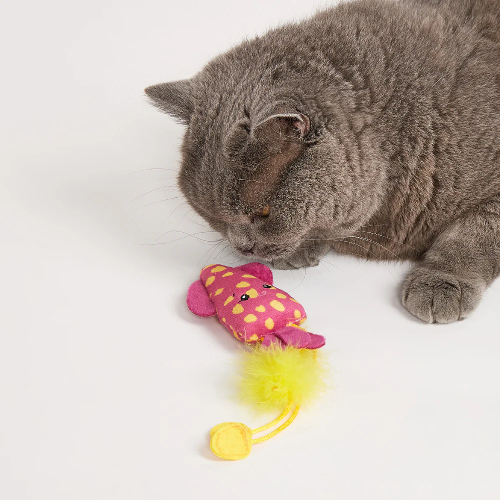 FOFOS Sealife Wand Catnip Cat Toy 4pcs - Image 5