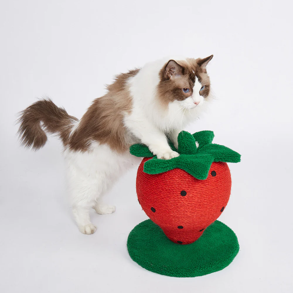 FOFOS Strawberry Cat Scratcher - Image 3