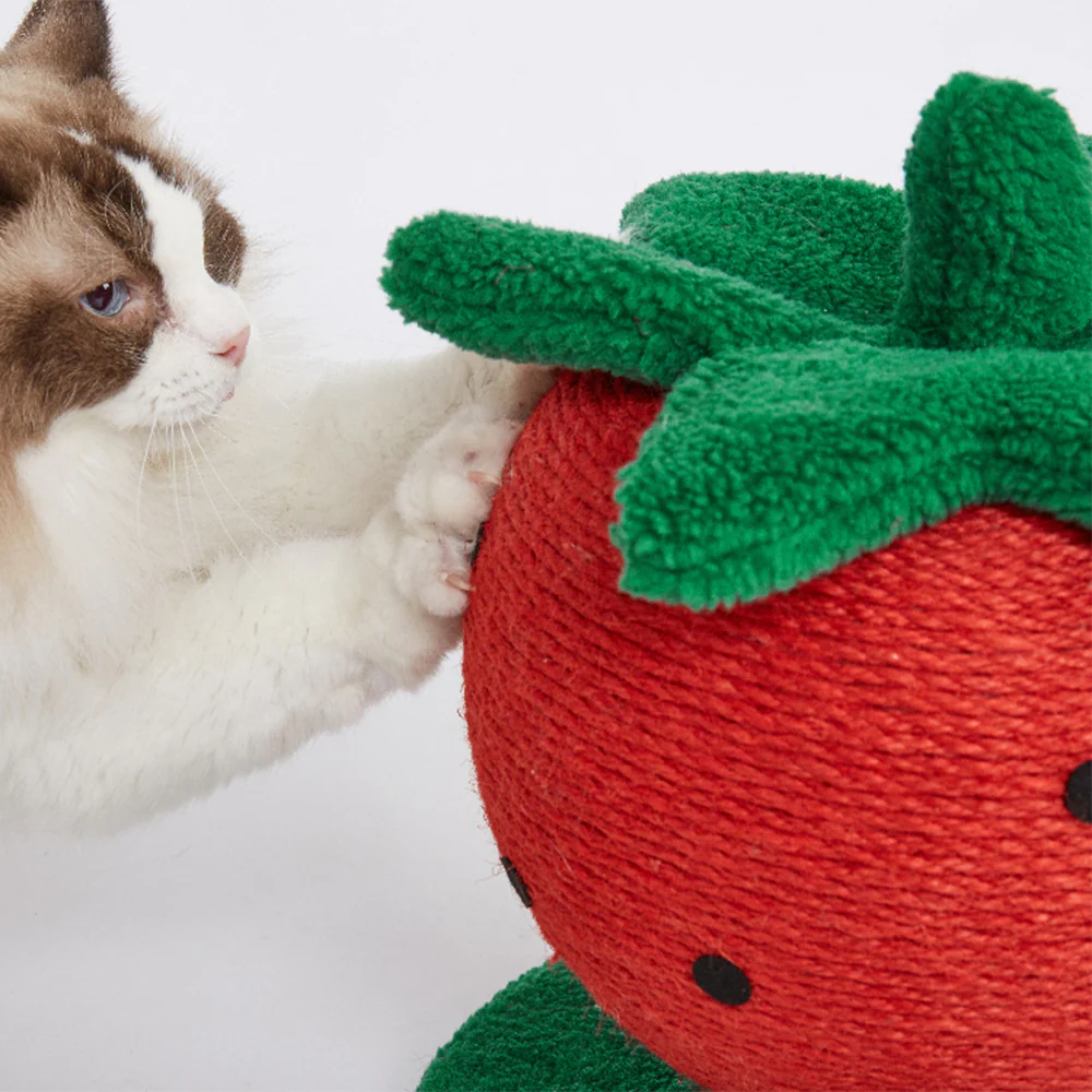 FOFOS Strawberry Cat Scratcher - Image 4