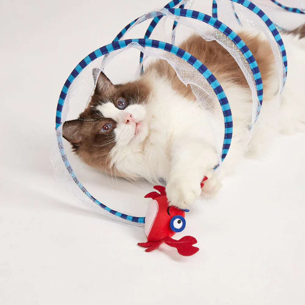 FOFOS Summer Crab Cat Tunnel Cat Toy - 110cm - Image 4