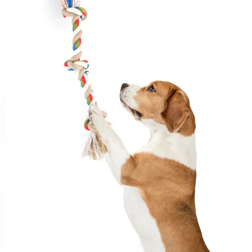 FOFOS Teething Flossy 3 Knots Rope Dog Toy - Image 3