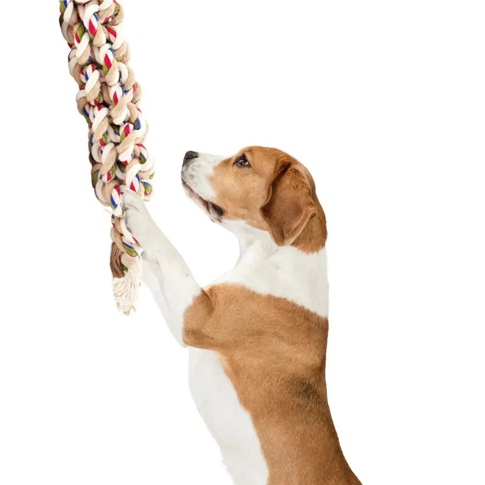 FOFOS Teething Flossy Braided Rope Dog Toy - Image 3