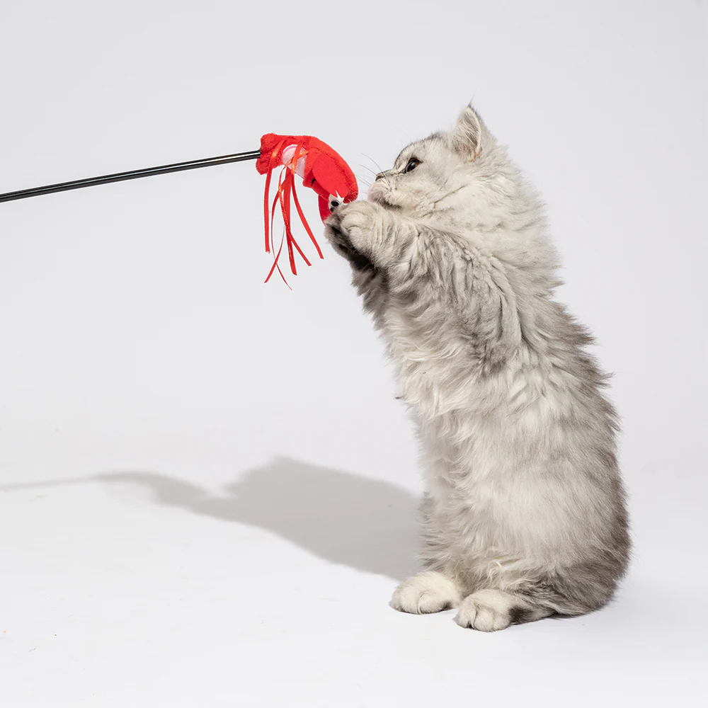 FOFOS Wand Moving Lobster Cat Teaser Toy - Image 3
