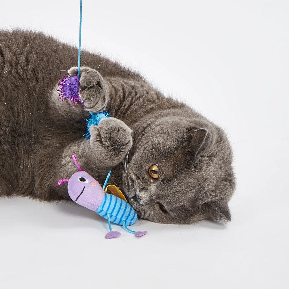 FOFOS Wand Replaceable Cat Toy - Let's Fly Together - Image 5