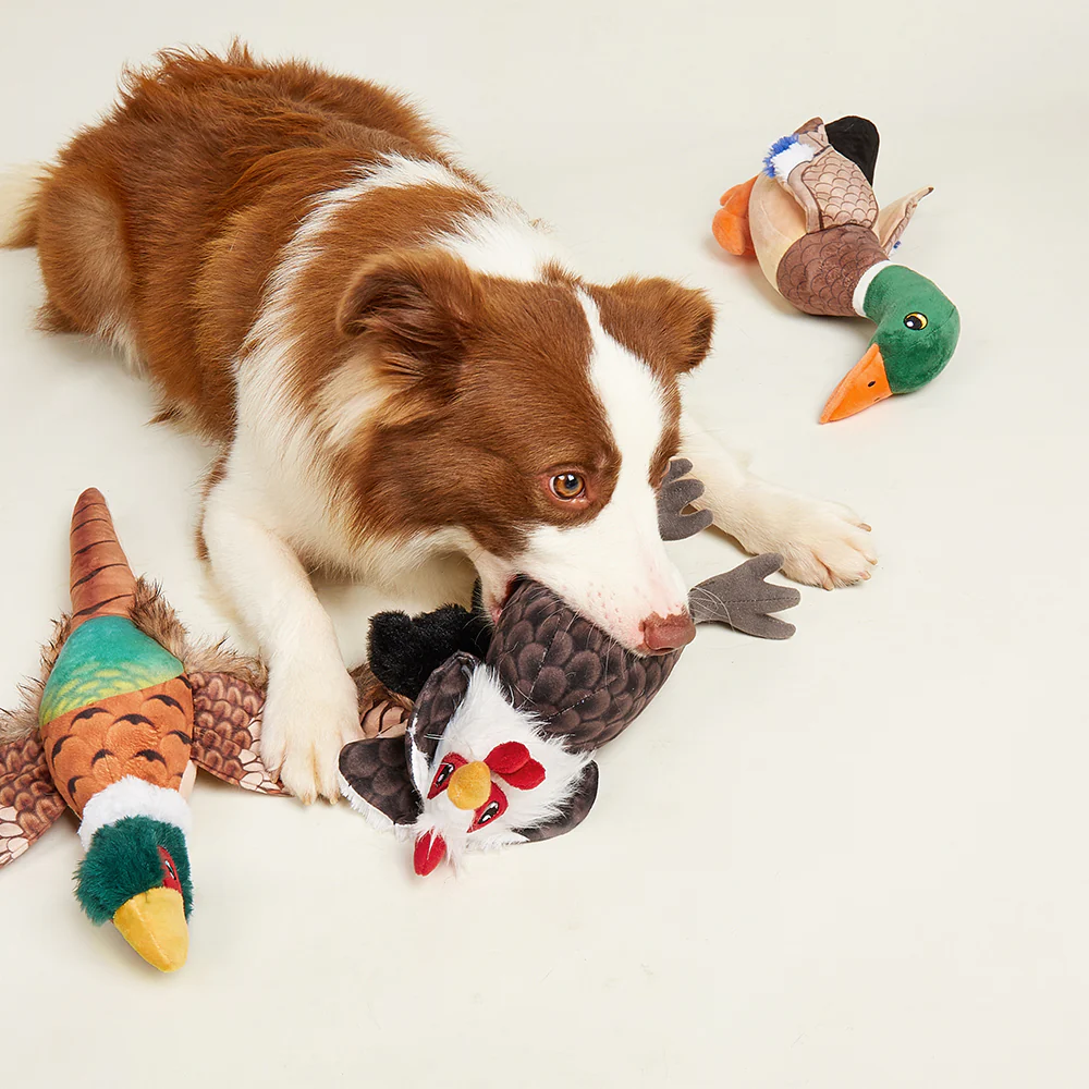 FOFOS Wild Duck Plush Squeaky Dog Toy - Image 3