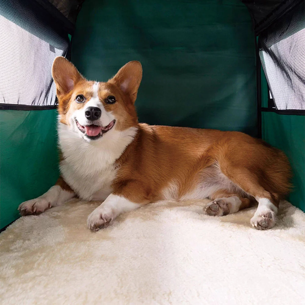 Foldable Pet Car Travel Crate | Portable Carrier for Cats & Dogs - Image 11