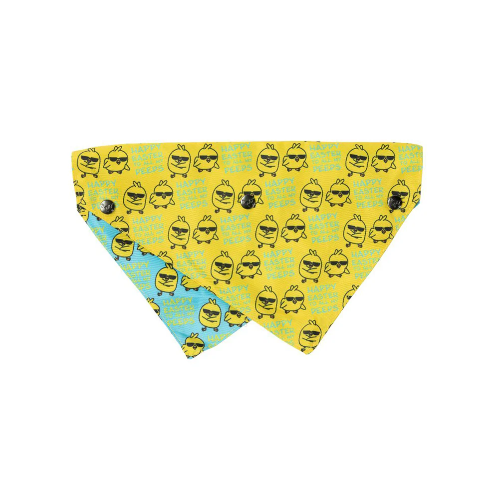 FUZZYARD All My Peeps Bandana for Medium and Large Dogs - Image 2