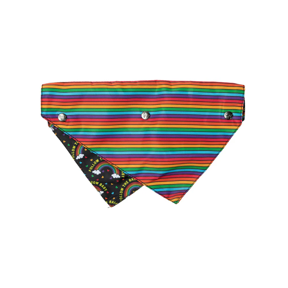 FUZZYARD Follow The Rainbow Baby Bandana for Medium and Large Dogs - Image 2