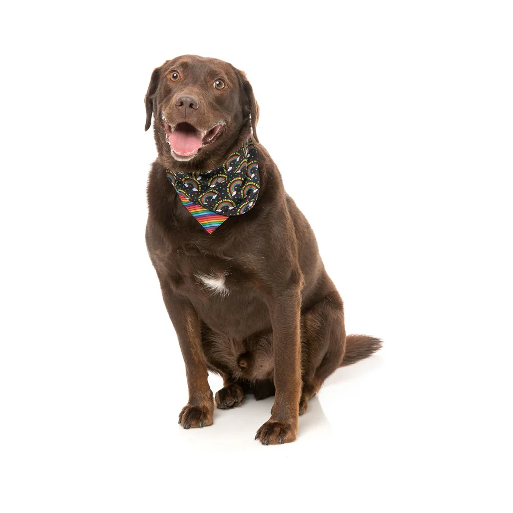 FUZZYARD Follow The Rainbow Baby Bandana for Medium and Large Dogs - Image 3