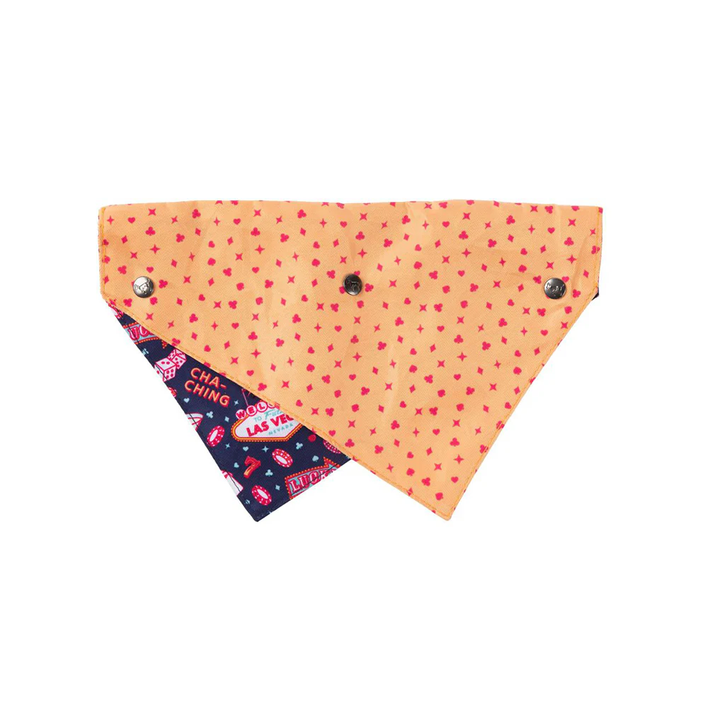 FUZZYARD Jackpup Bandana for Medium and Large Dogs - Image 2