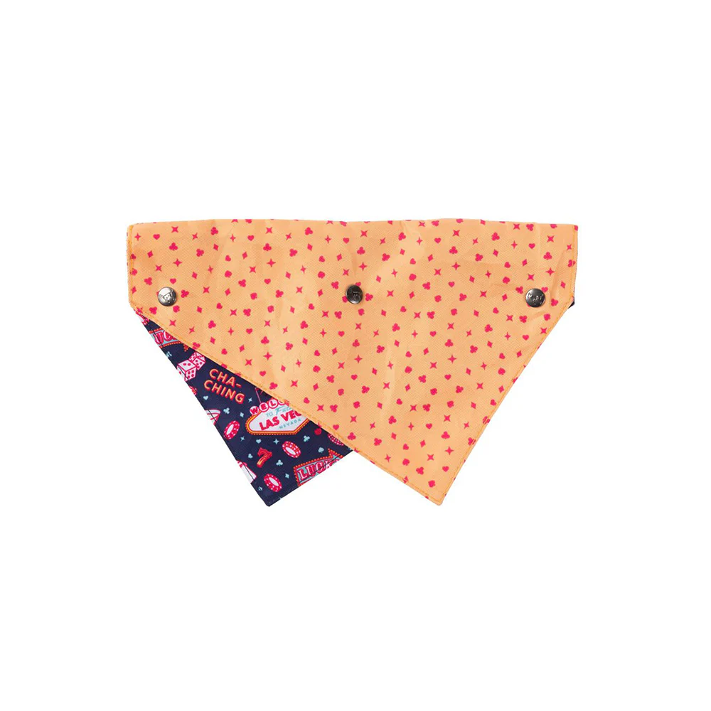 FUZZYARD Jackpup Bandana for Small and Medium Dogs - Image 2