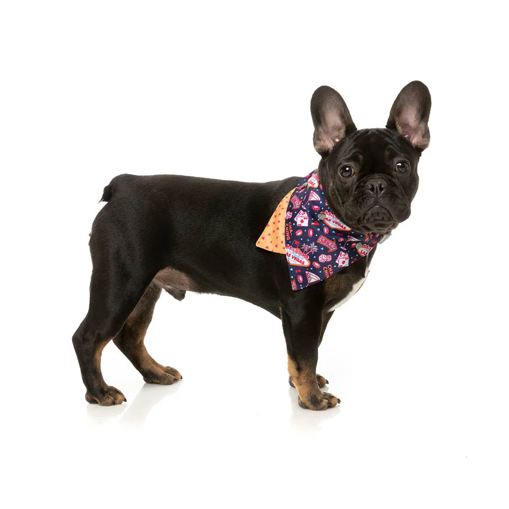FUZZYARD Jackpup Bandana for Small and Medium Dogs - Image 3