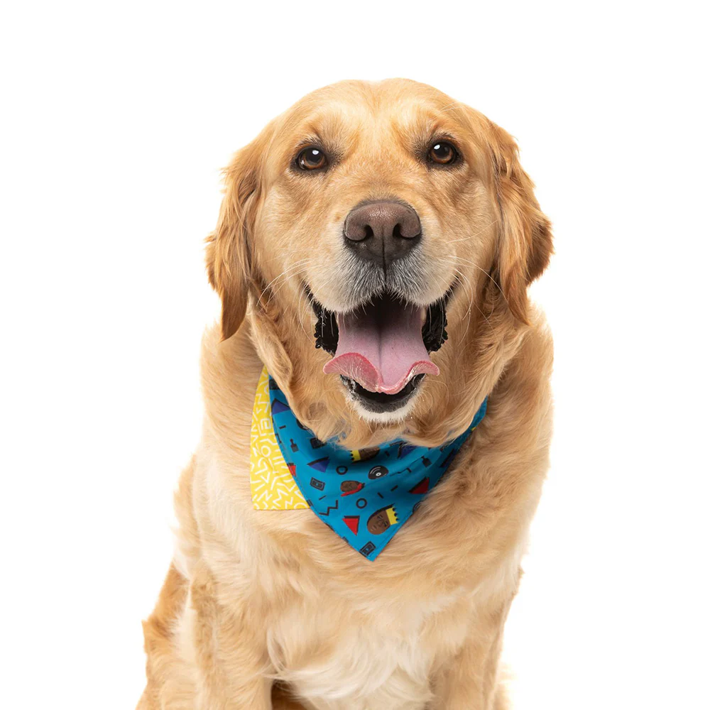 FUZZYARD Kings Of Gold School Bandana for Medium and Large Dogs - Image 4