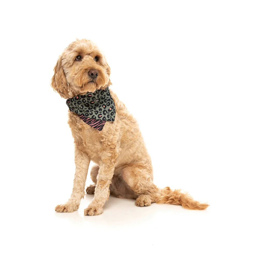 FUZZYARD Savanna Bandana for Medium and Large Dogs - Image 3