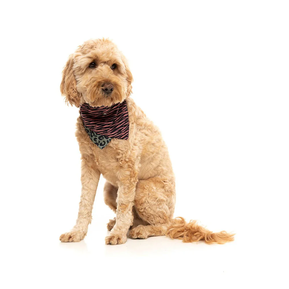 FUZZYARD Savanna Bandana for Medium and Large Dogs - Image 4