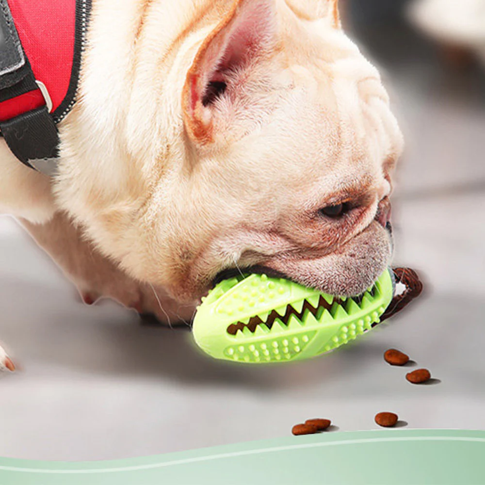 Green Strong Suction & Durable Dispensing Interactive Dog Toy - Image 5