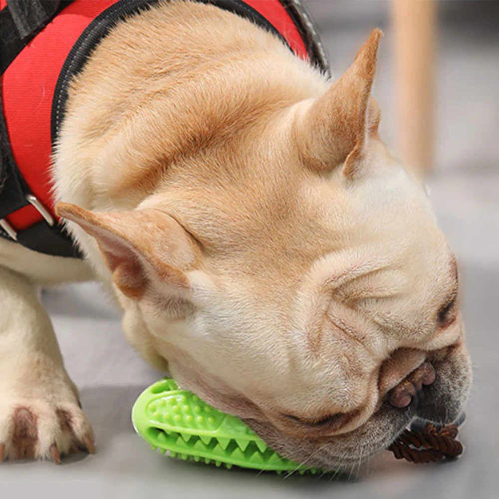 Green Strong Suction & Durable Dispensing Interactive Dog Toy - Image 6