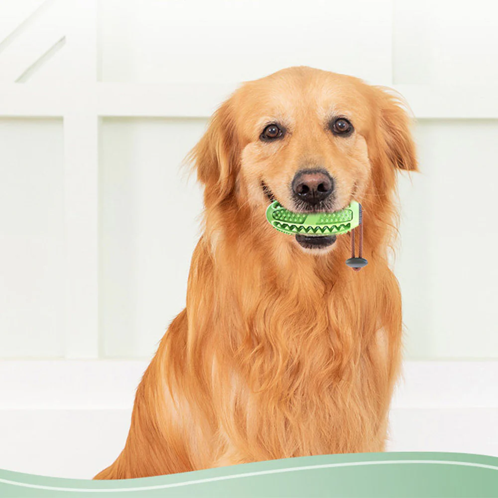 Green Strong Suction & Durable Dispensing Interactive Dog Toy - Image 7