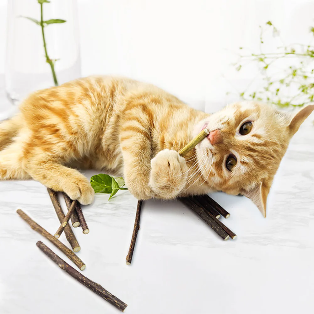 GREPETS Silvervine Cat Dental Sticks - Image 2