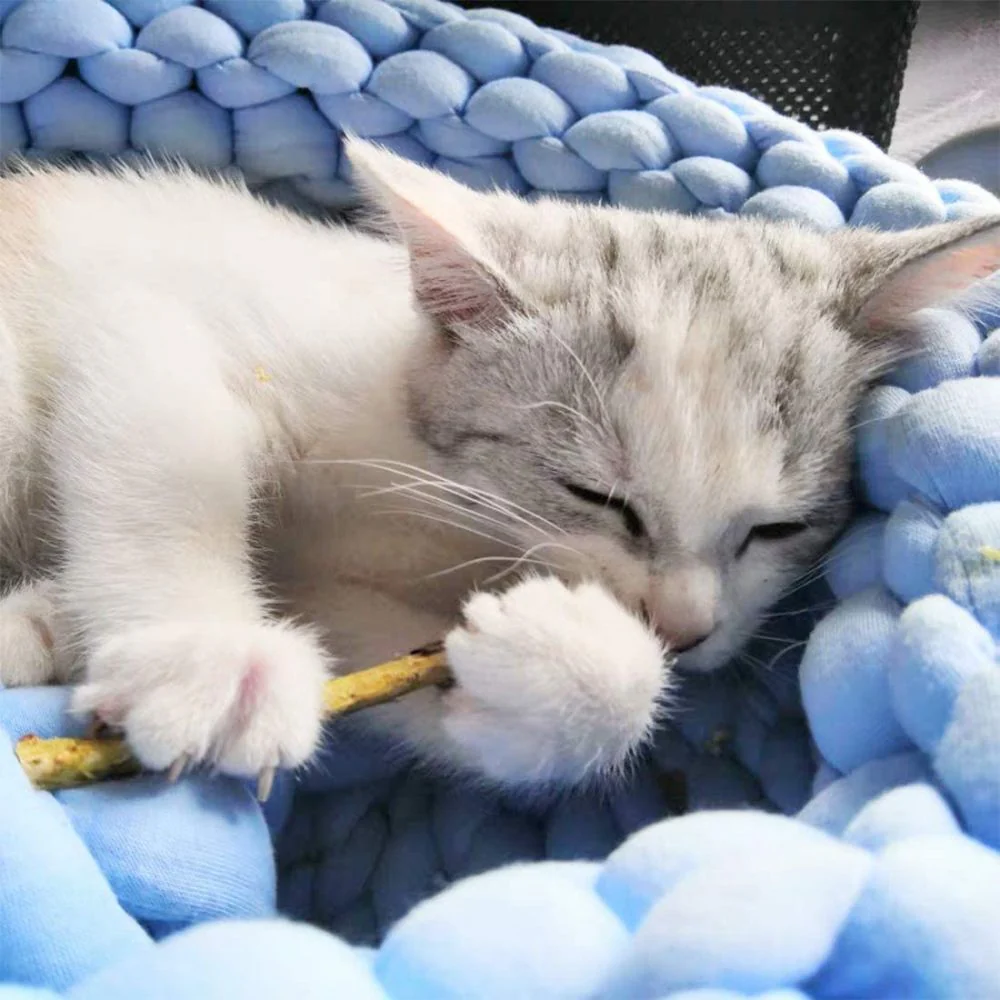GREPETS SilverVine Kitten Catnip Dental Sticks 15pcs - Image 5