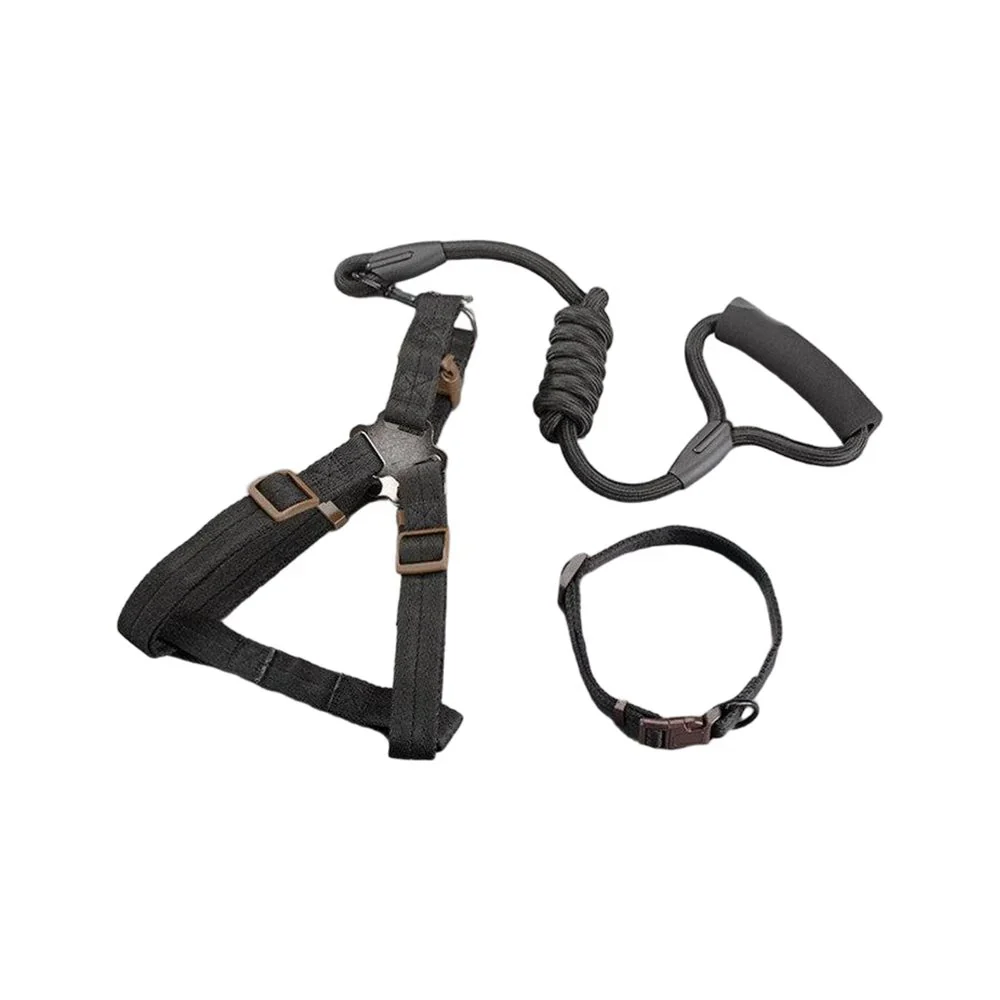 Hele Dog Rope Leashes - Color Random - Image 2