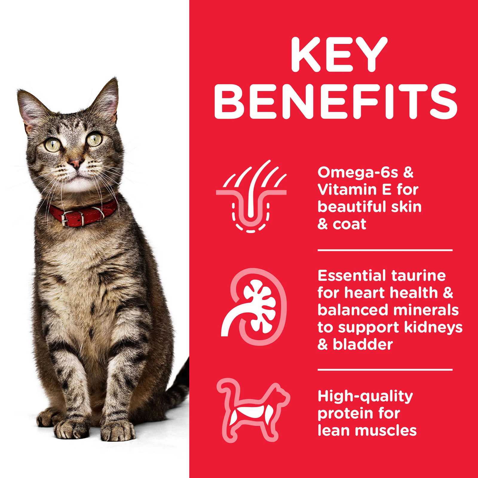 HILLS Science Diet Chicken Adult Wet Cat Food - Image 3