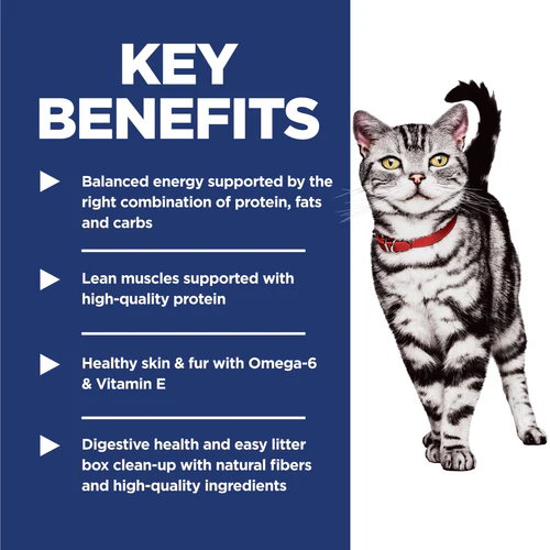 HILLS Science Diet Chicken Indoor Adult Dry Cat Food - Image 5