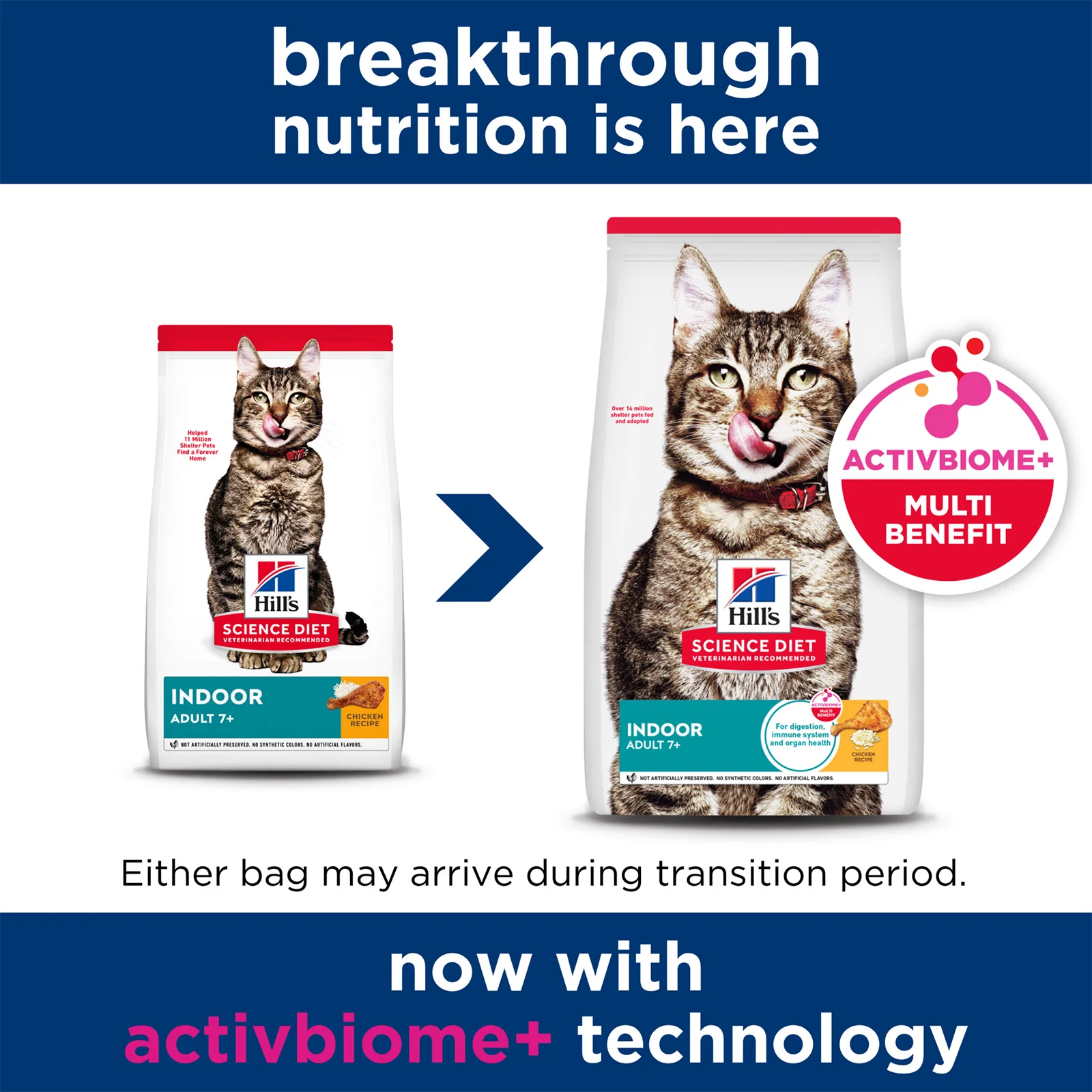 HILLS Science Diet Chicken Indoor Mature 7+ Dry Cat Food - Image 3
