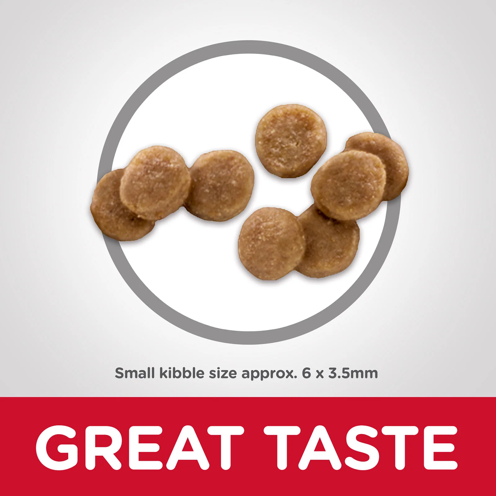 HILLS Science Diet Chicken Kitten Dry Cat Food - Image 3