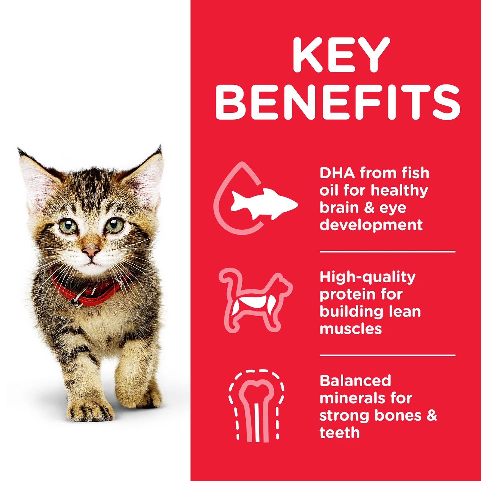 HILLS Science Diet Chicken Kitten Wet Cat Food - Image 4