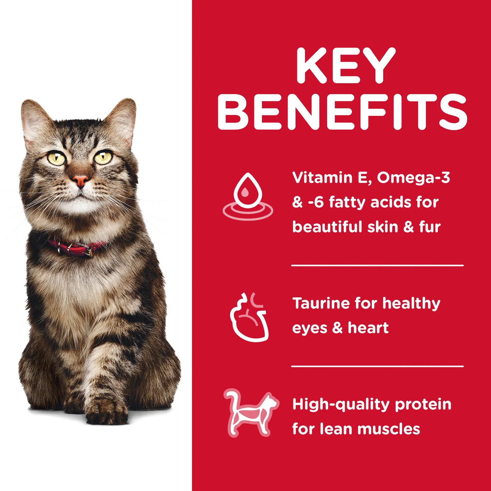 HILLS Science Diet Hairball Control Chicken Mature 7+ Dry Cat Food - Image 3