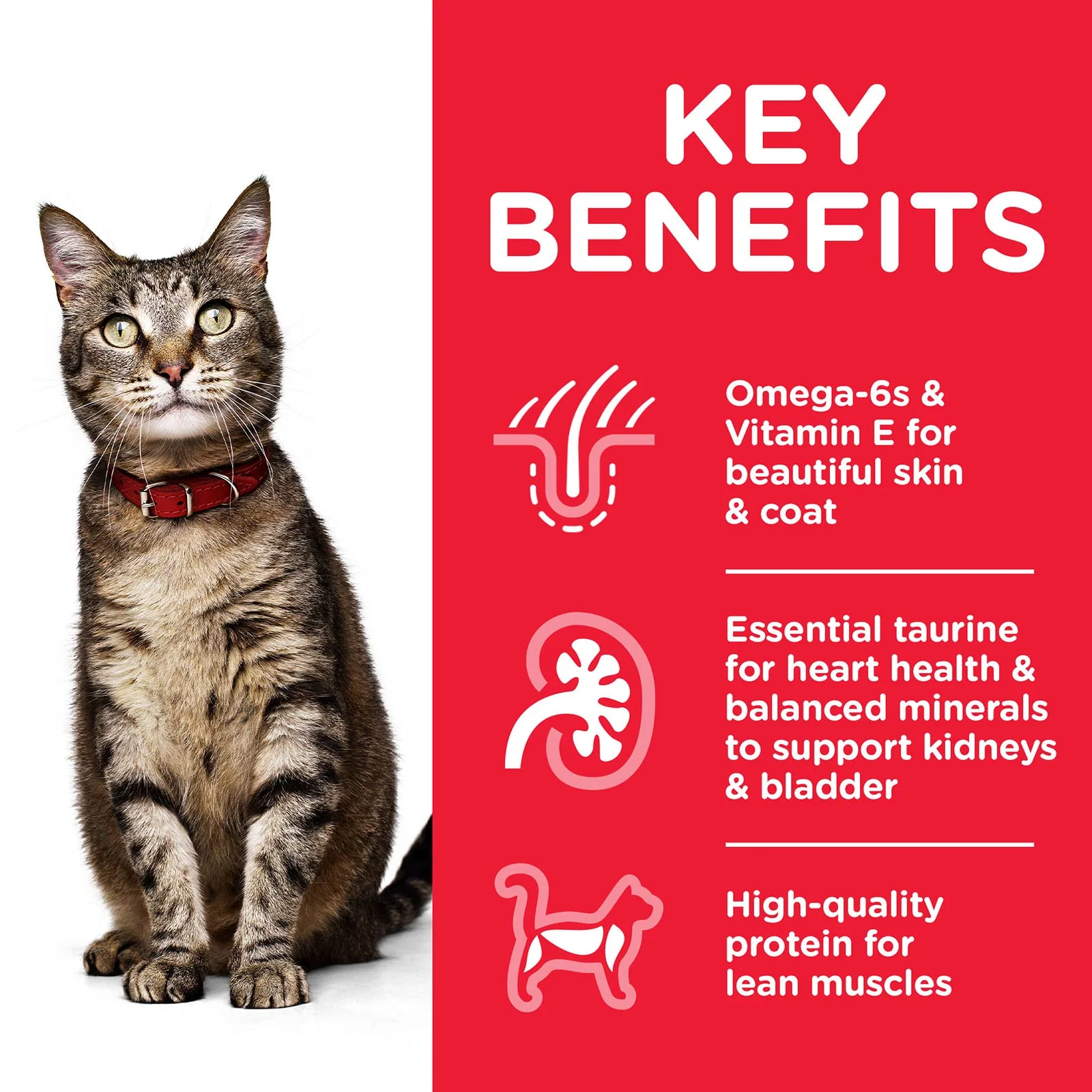 HILLS Science Diet Beef Adult Wet Cat Food - Image 2
