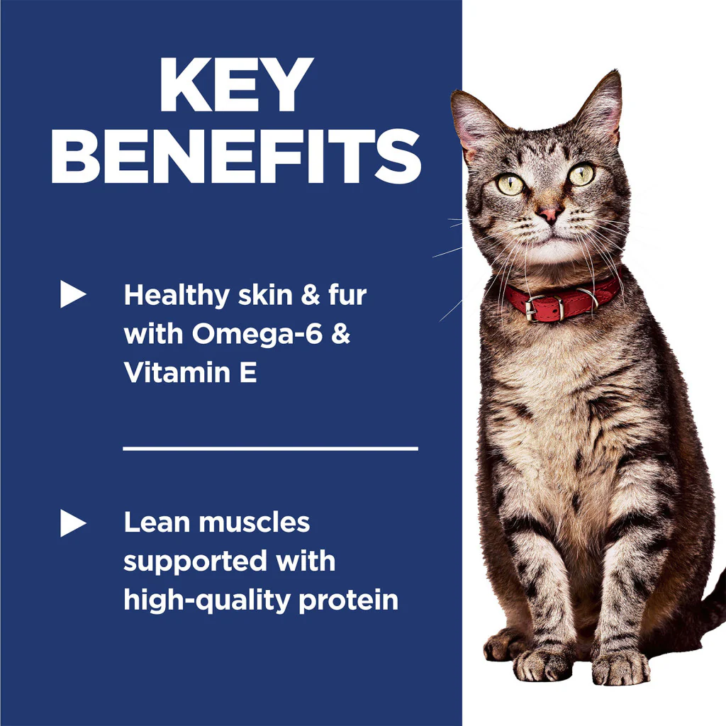 HILLS Science Diet Optimal Care Chicken Adult Dry Cat Food - Image 3