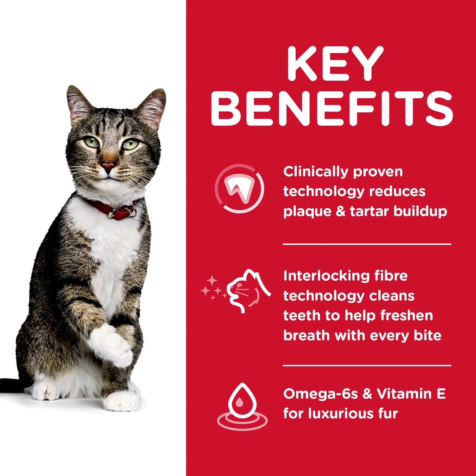HILLS Science Diet Oral Care Chicken Adult Dry Cat Food - Image 4
