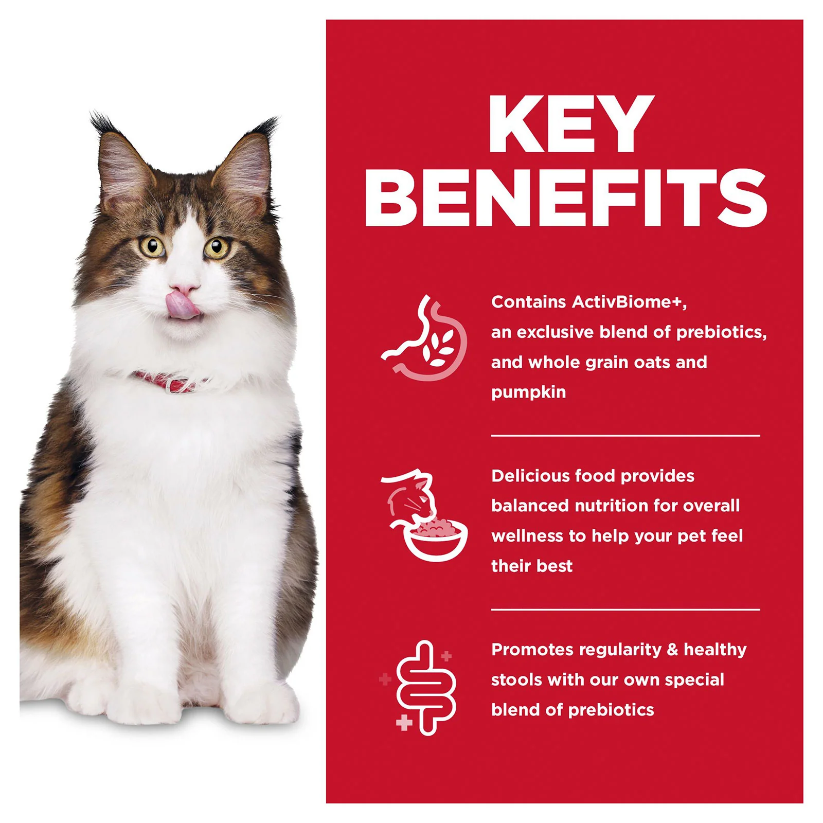 HILLS Science Diet Perfect Digestion Chicken & Barley Adult Dry Cat Food - Image 3