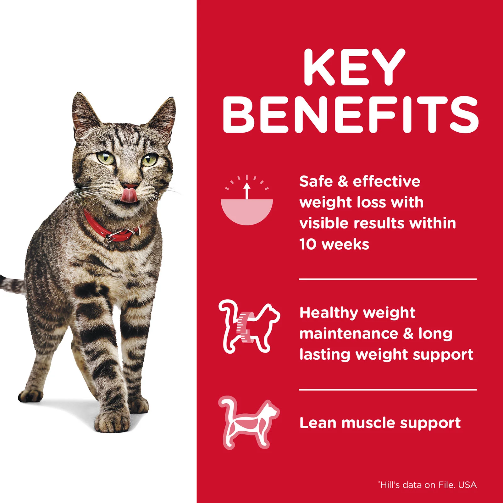 HILLS Science Diet Perfect Weight Chicken Adult Wet Cat Food - Image 2