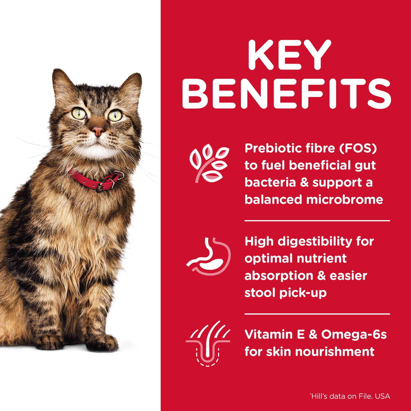 HILLS Science Diet Sensitive Stomach & Skin Chicken & Rice Adult Dry Cat Food - Image 4