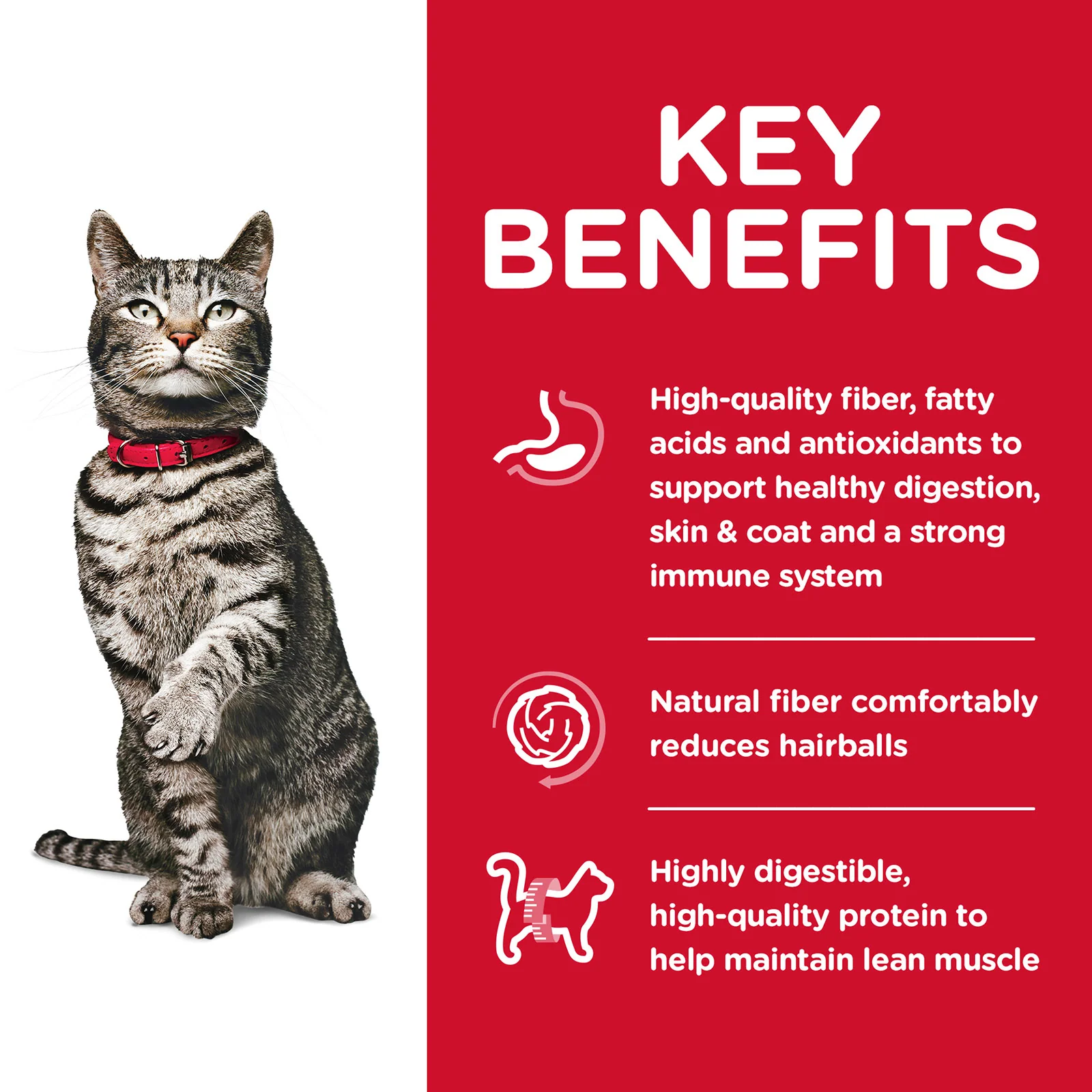 HILLS Science Diet Urinary Hairball Control Chicken Adult Dry Cat Food - Image 3