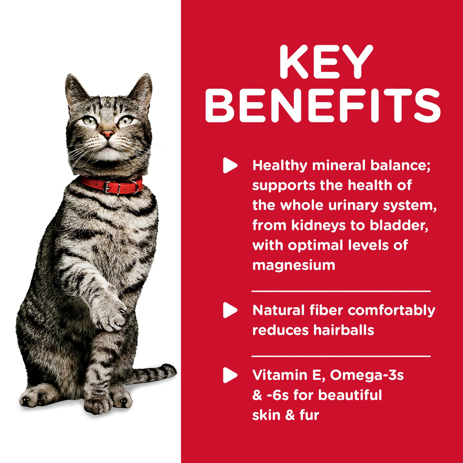 HILLS Science Diet Urinary Hairball Control Chicken Adult Wet Cat Food - Image 4
