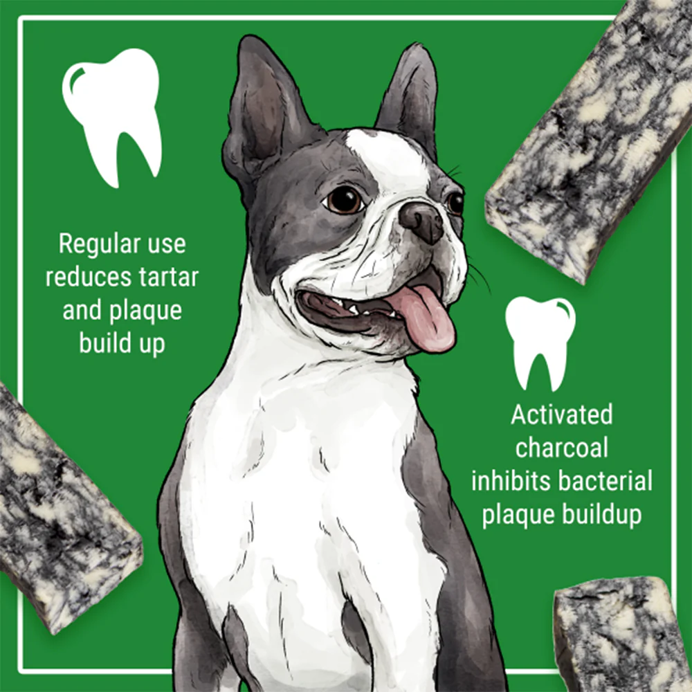 HIMALAYAN Cheese Char with Activated Charcoal Medium Dog Chew Treats 1pk - Image 2