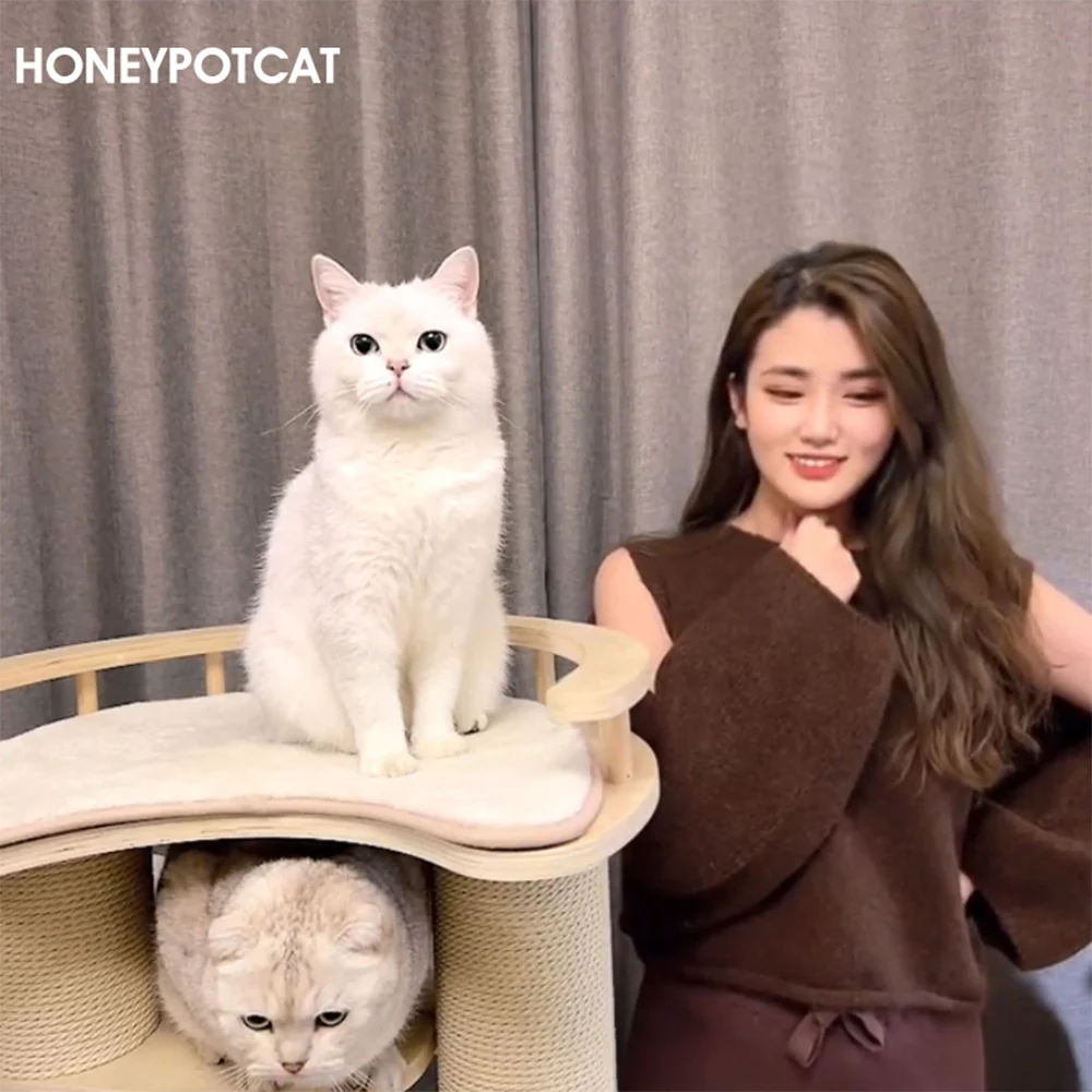 HONEYPOTCAT Leisure Loft With Hammock & Scratch Post 190360/de190360 - Image 2