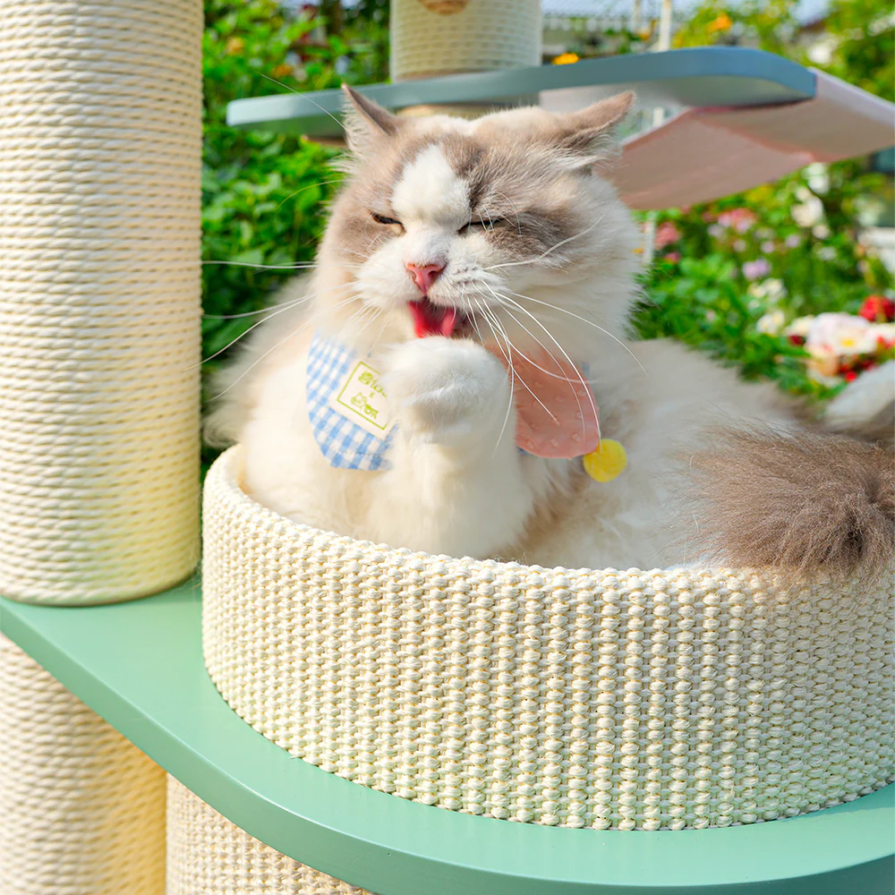 HONEYPOTCAT PURRING Multi-Tier Plush & Sisal Deluxe Cat Tree - 122cm - Macaron Edition mac182531mun - Image 6
